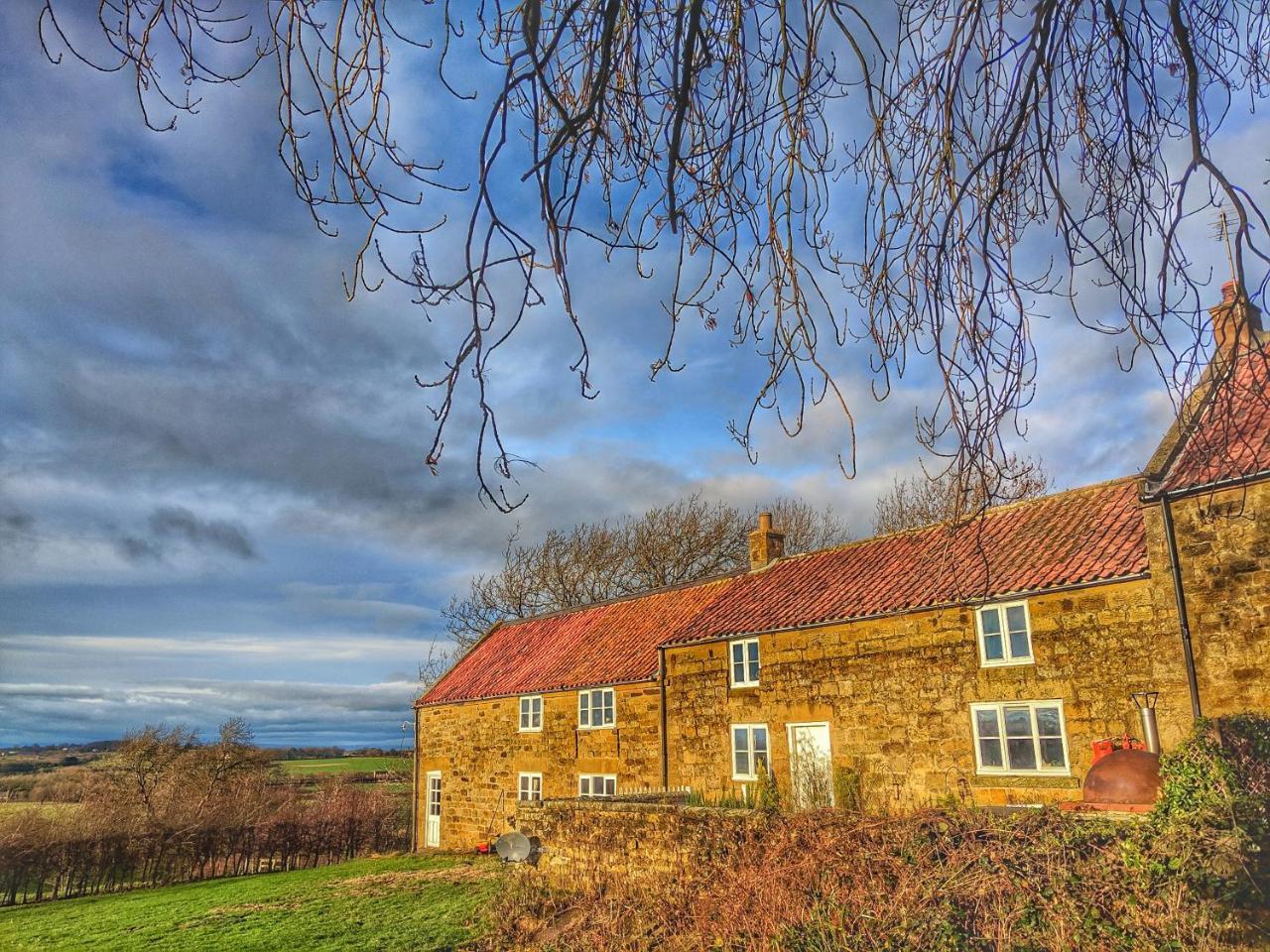 Bed and Breakfast Park House Ingleby Arncliffe Exterior foto